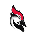 Docupilot and Woodpecker.co integration